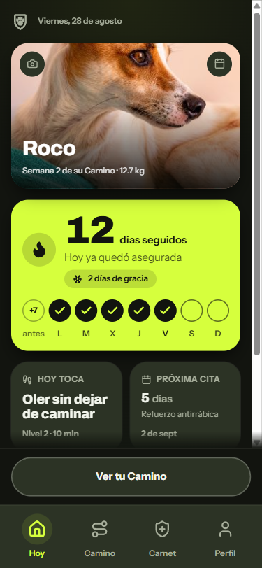 La pantalla Hoy de Patamigo: el plan del día de un perro rescatado, su racha y su próxima cita de vacuna